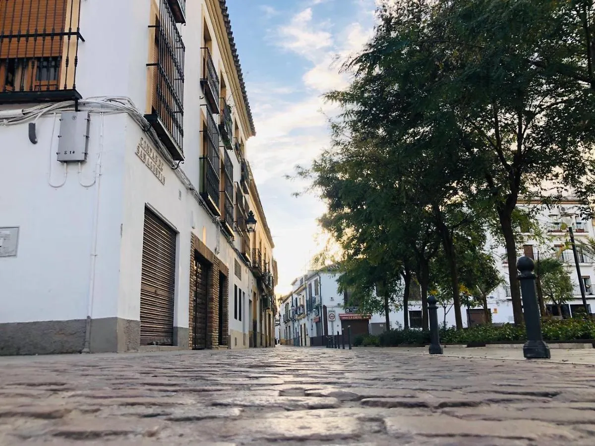 Fantastico Piso Junto A Palacio Viana - Centro Historico 公寓 科爾多瓦
