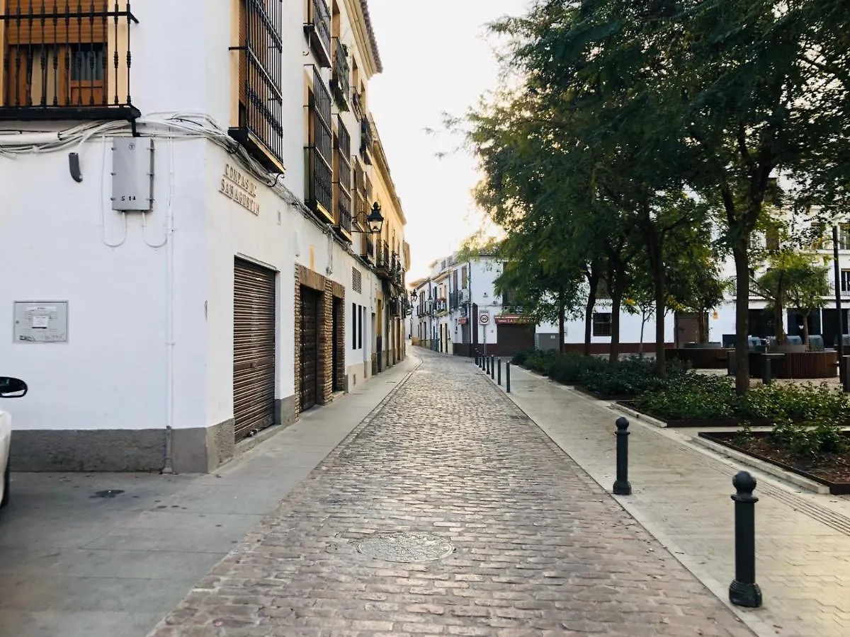 Fantastico Piso Junto A Palacio Viana - Centro Historico