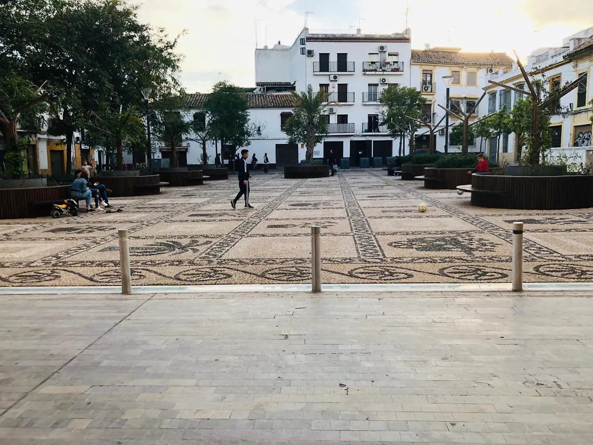 Fantastico Piso Junto A Palacio Viana - Centro Historico Spain